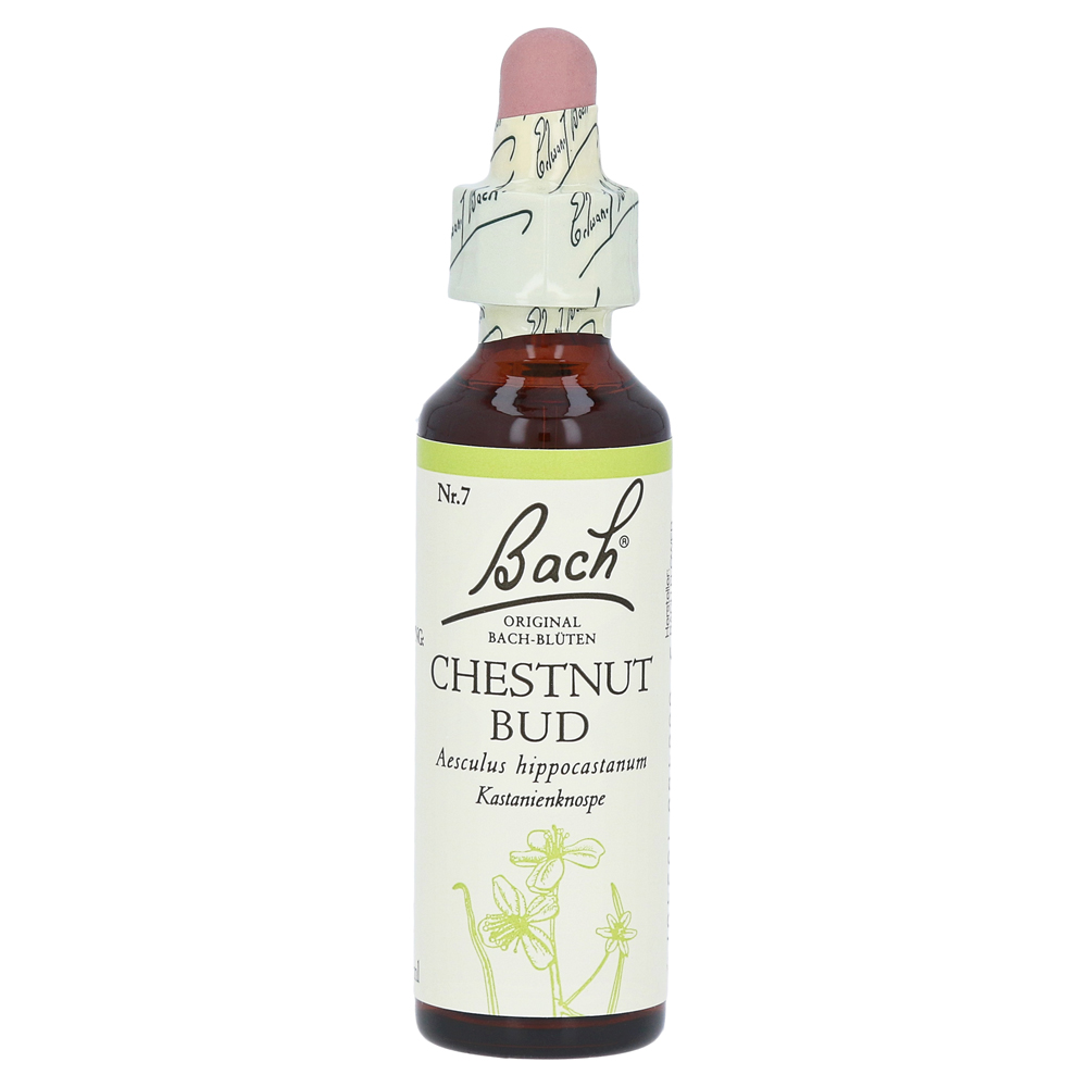 Bachblüten Chestnut Bud Tropfen
