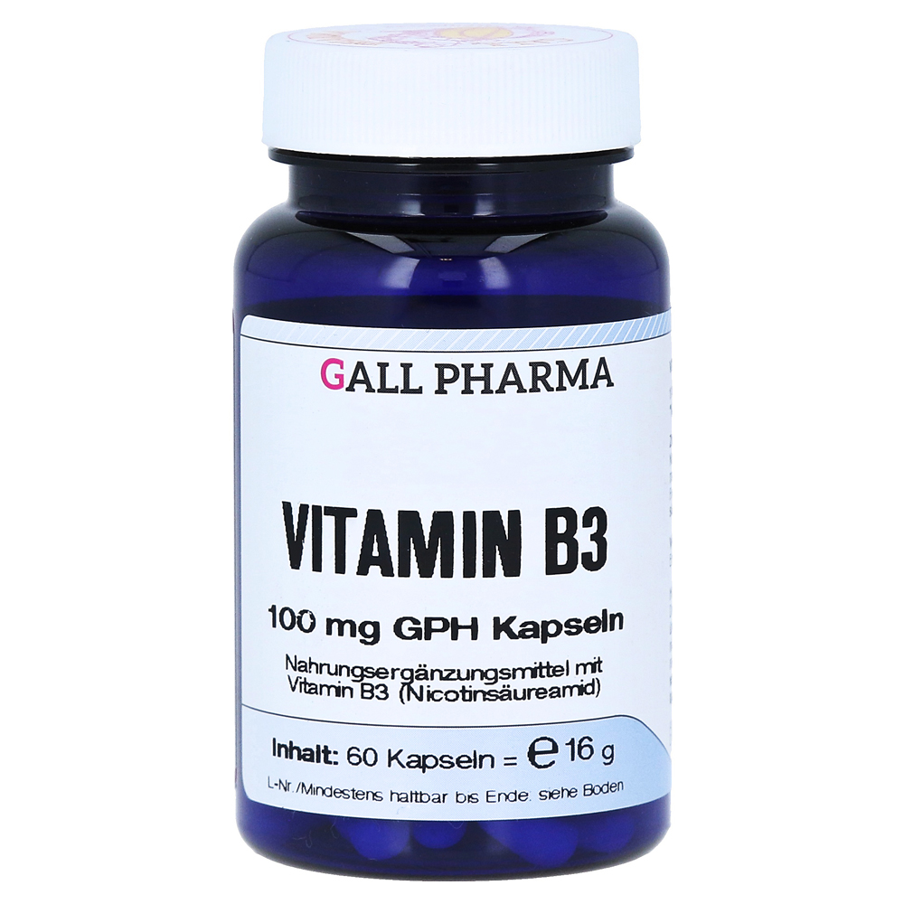 VITAMIN B3 100 mg GPH Kapseln