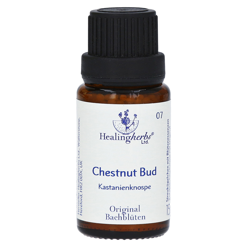 BACHBLÜTEN Chestnut Bud Globuli Healing Herbs