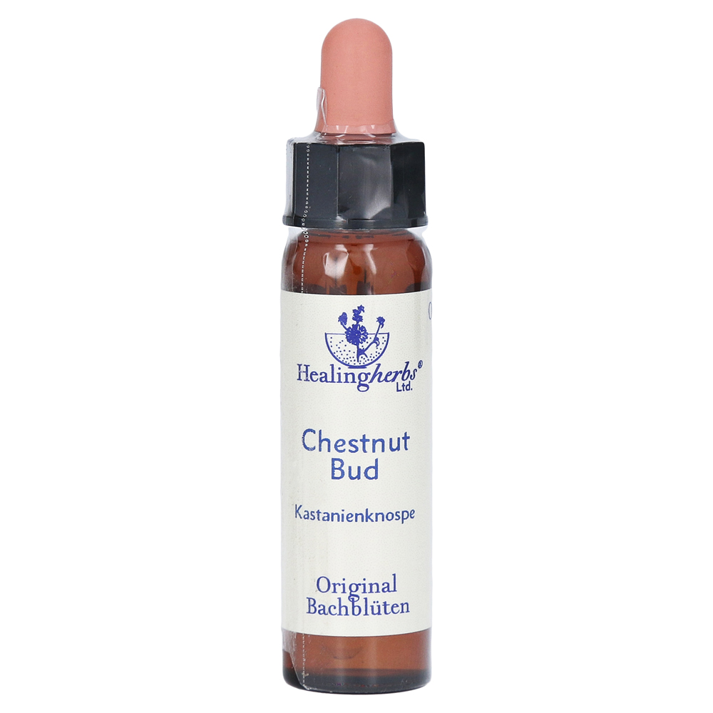 BACHBLÜTEN Chestnut Bud Healing Herbs Tropfen